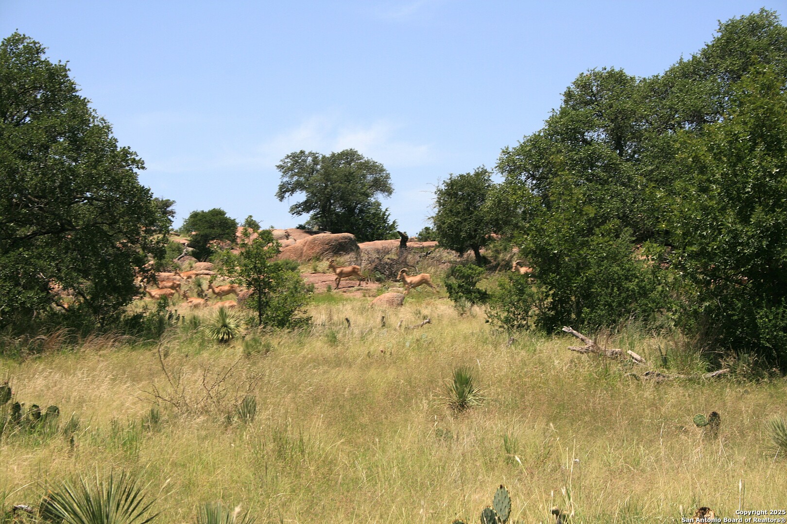 Tbd Cr 113a Llano TX 78634