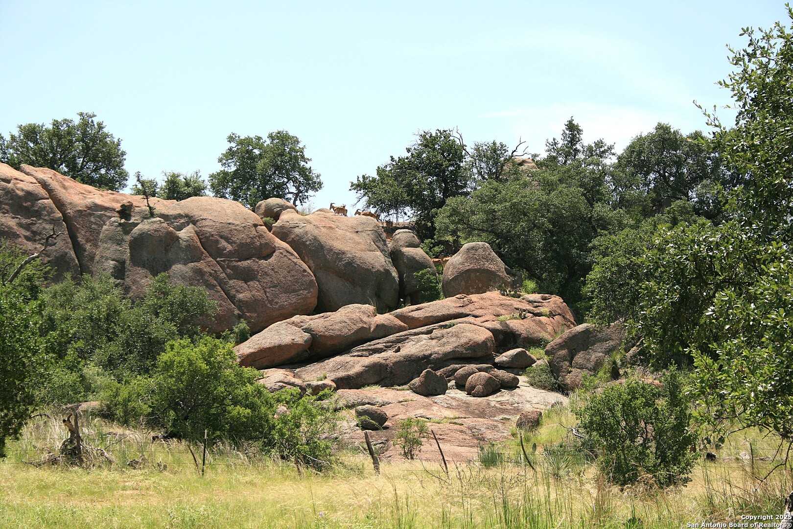 Tbd Cr 113a Llano TX 78634