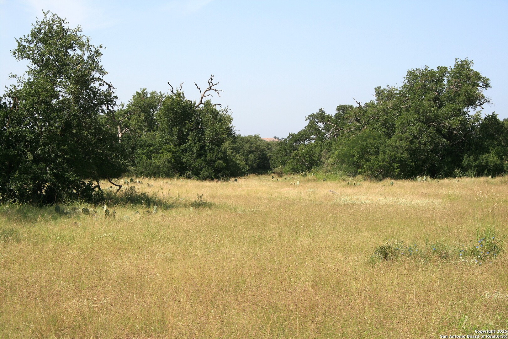 Tbd Cr 113a Llano TX 78634
