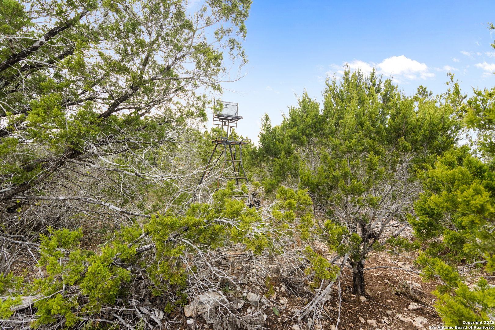 87 Mutt Road Brackettville TX 78832