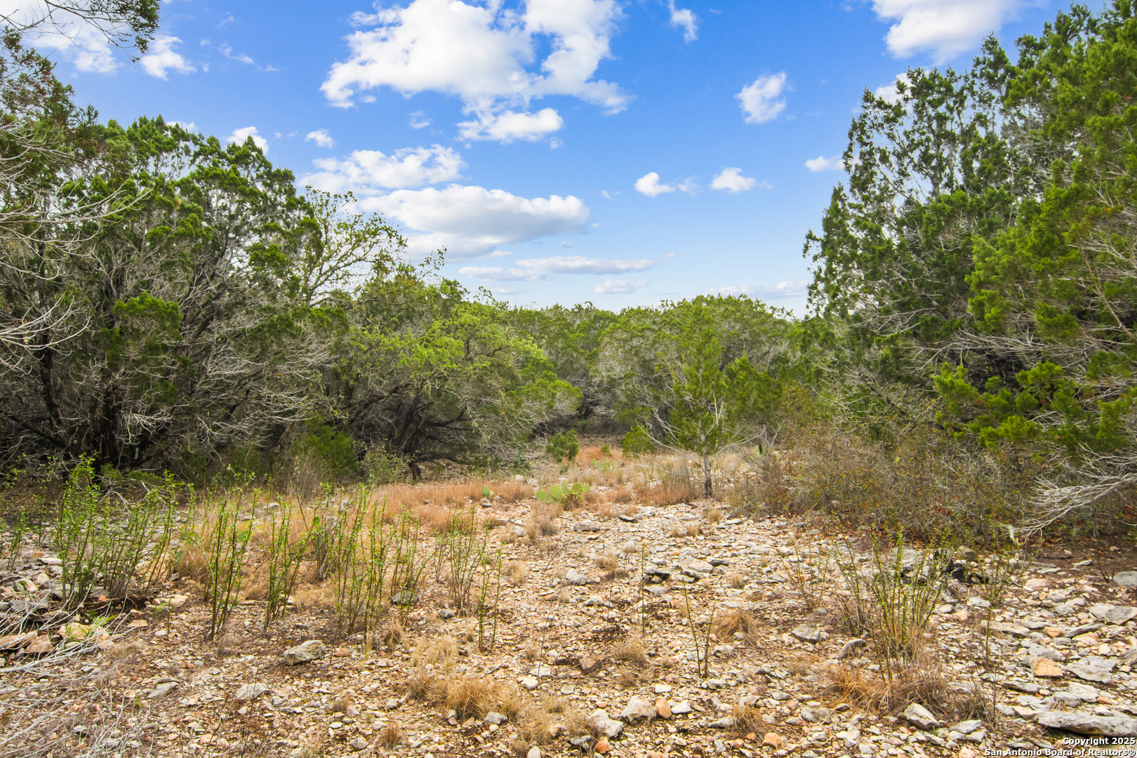 87 Mutt Road Brackettville TX 78832