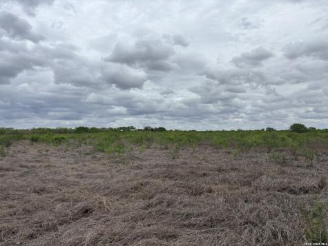 1460 County Road 193 Karnes City TX 78118