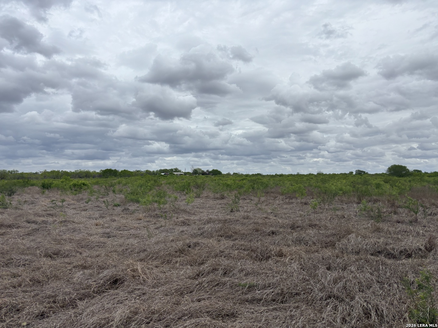 1460 County Road 193 Karnes City TX 78118