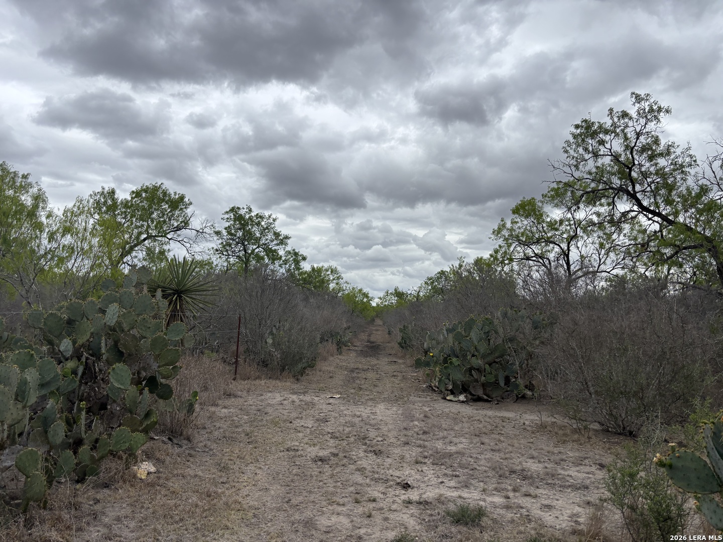 1460 County Road 193 Karnes City TX 78118