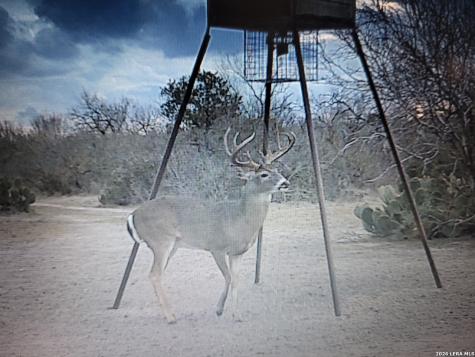 1460 County Road 193 Karnes City TX 78118