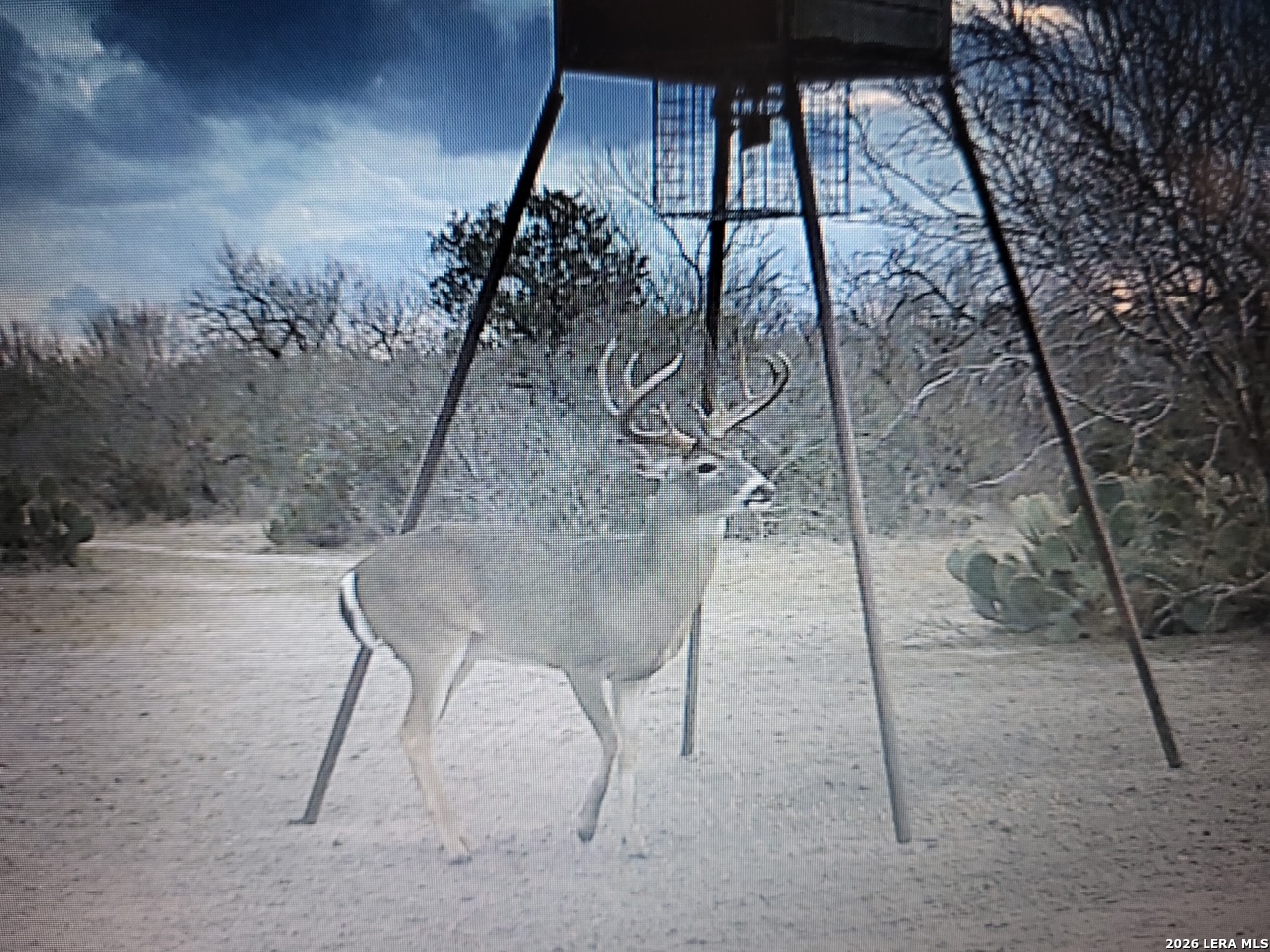 1460 County Road 193 Karnes City TX 78118