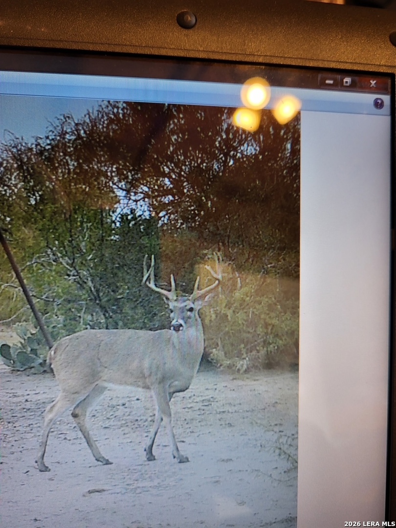 1460 County Road 193 Karnes City TX 78118