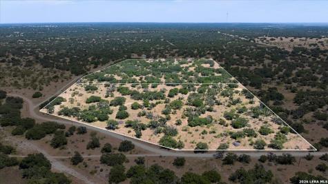 264 Pheasant Trail Menard TX 76859