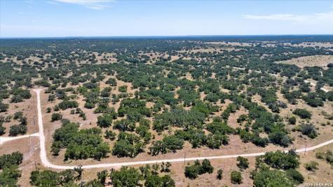 264 Pheasant Trail Menard TX 76859