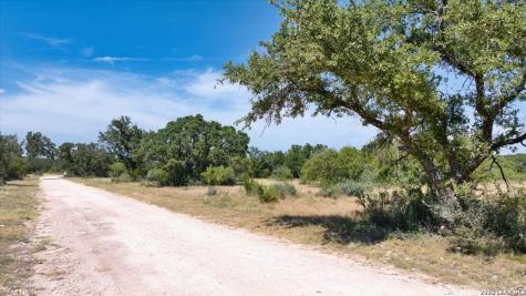 264 Pheasant Trail Menard TX 76859