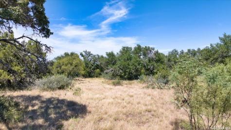 264 Pheasant Trail Menard TX 76859
