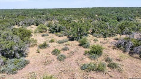 264 Pheasant Trail Menard TX 76859