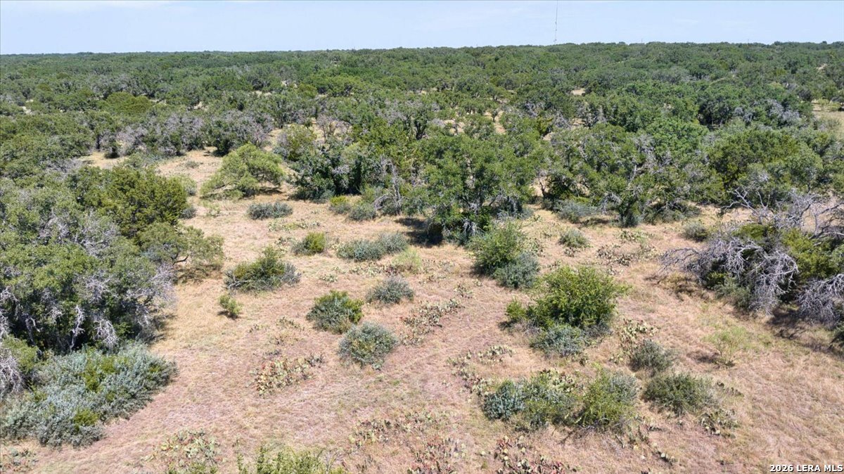 264 Pheasant Trail Menard TX 76859