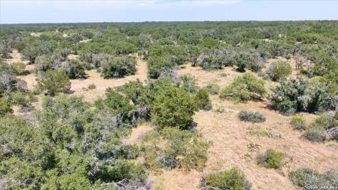 264 Pheasant Trail Menard TX 76859