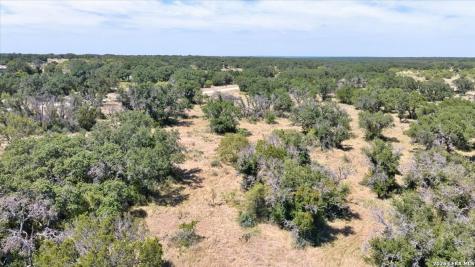 264 Pheasant Trail Menard TX 76859