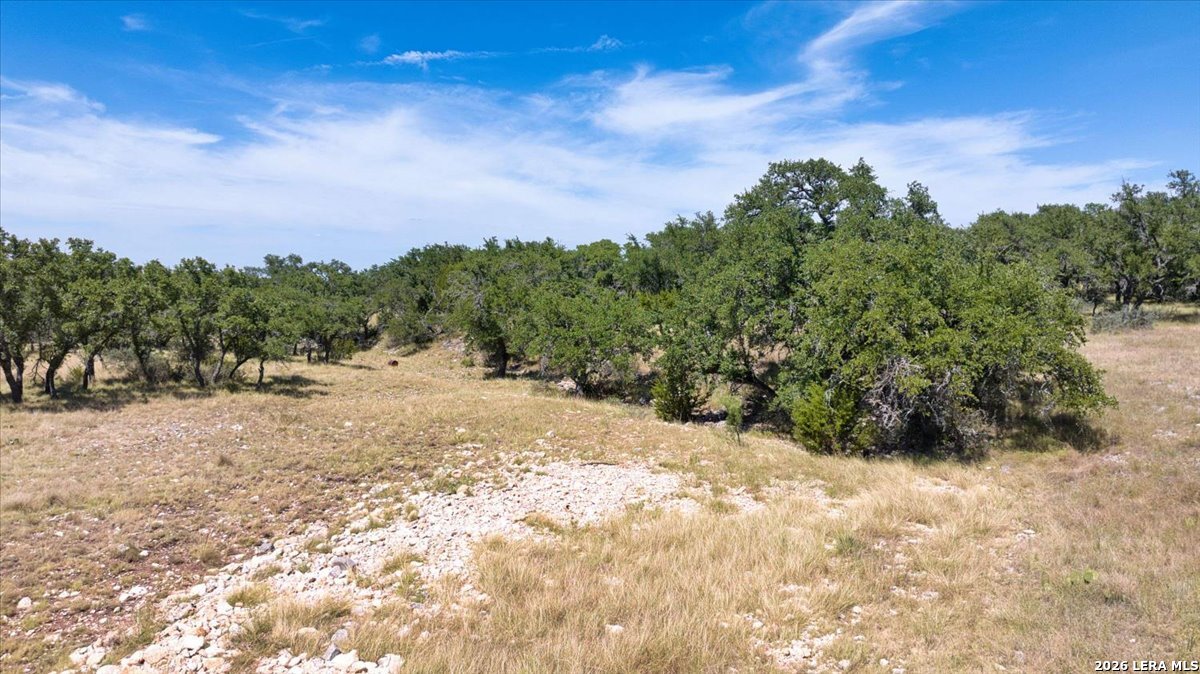 264 Pheasant Trail Menard TX 76859