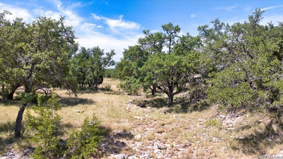 264 Pheasant Trail Menard TX 76859