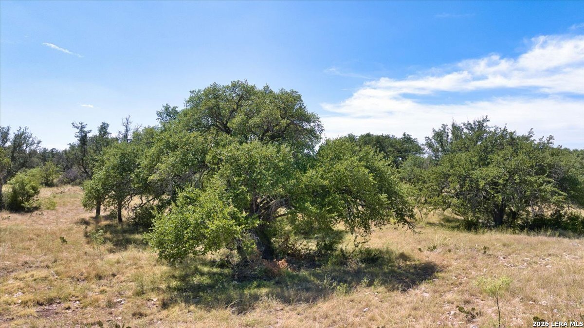264 Pheasant Trail Menard TX 76859