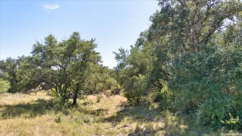 264 Pheasant Trail Menard TX 76859