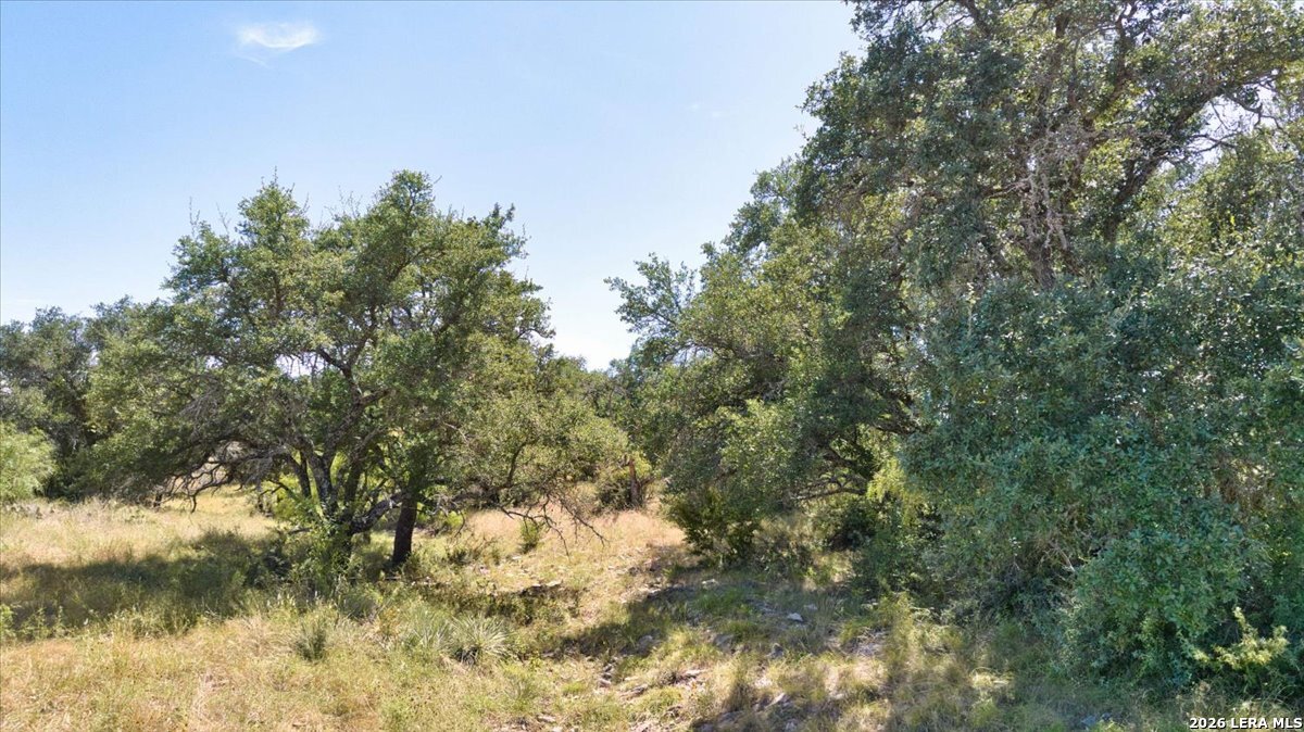 264 Pheasant Trail Menard TX 76859