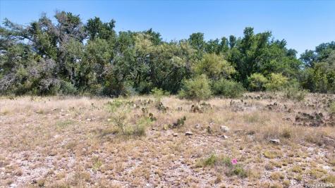 264 Pheasant Trail Menard TX 76859