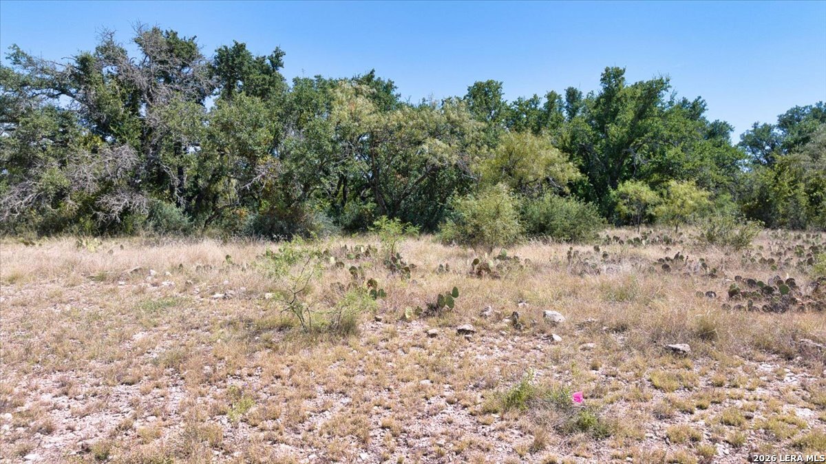 264 Pheasant Trail Menard TX 76859
