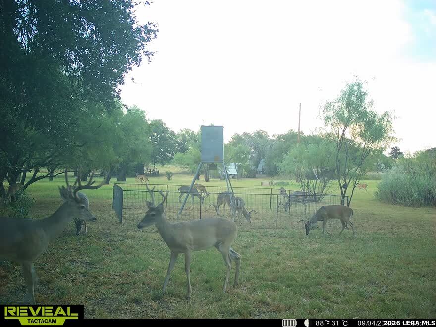 7200 S Us Highw Mason TX 76856