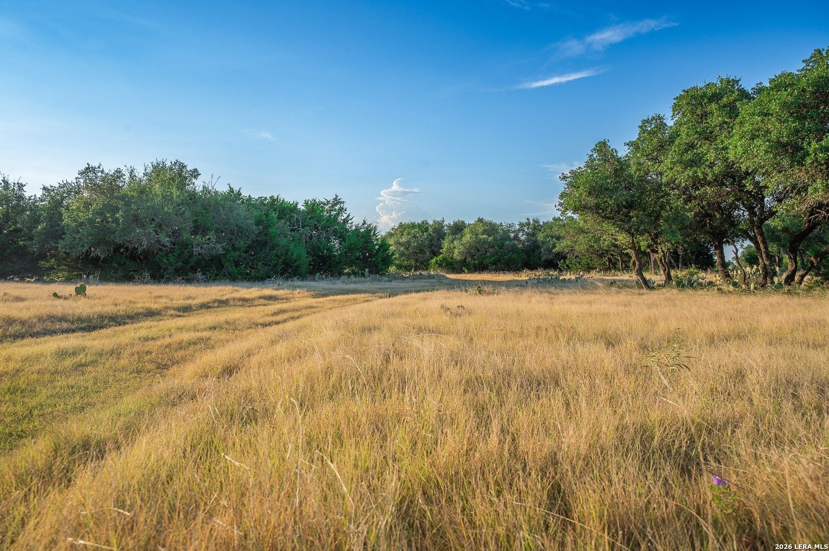 Tbd Highway 41 Rocksprings TX 78880