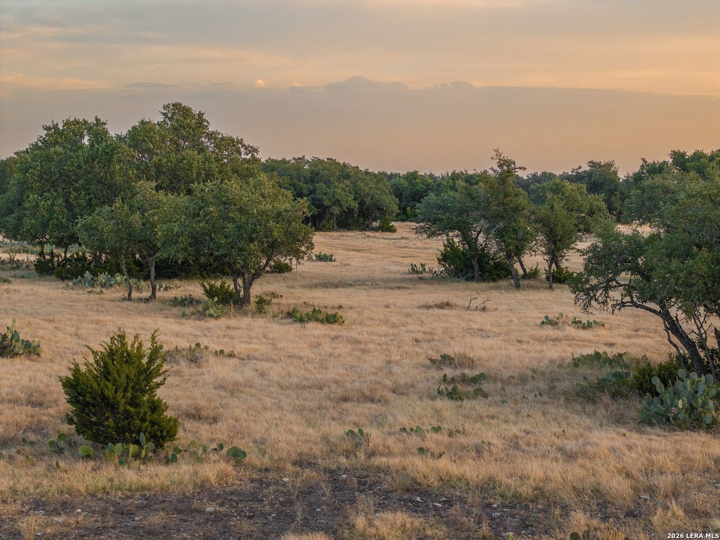 Tbd Highway 41 Rocksprings TX 78880