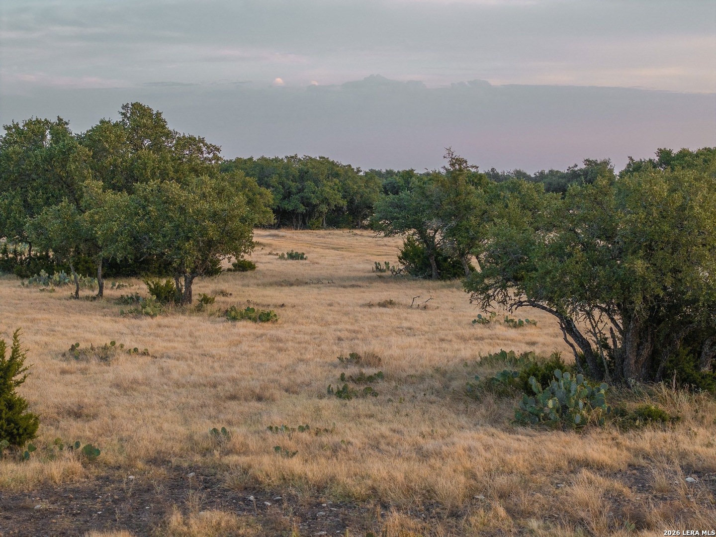 Tbd Highway 41 Rocksprings TX 78880