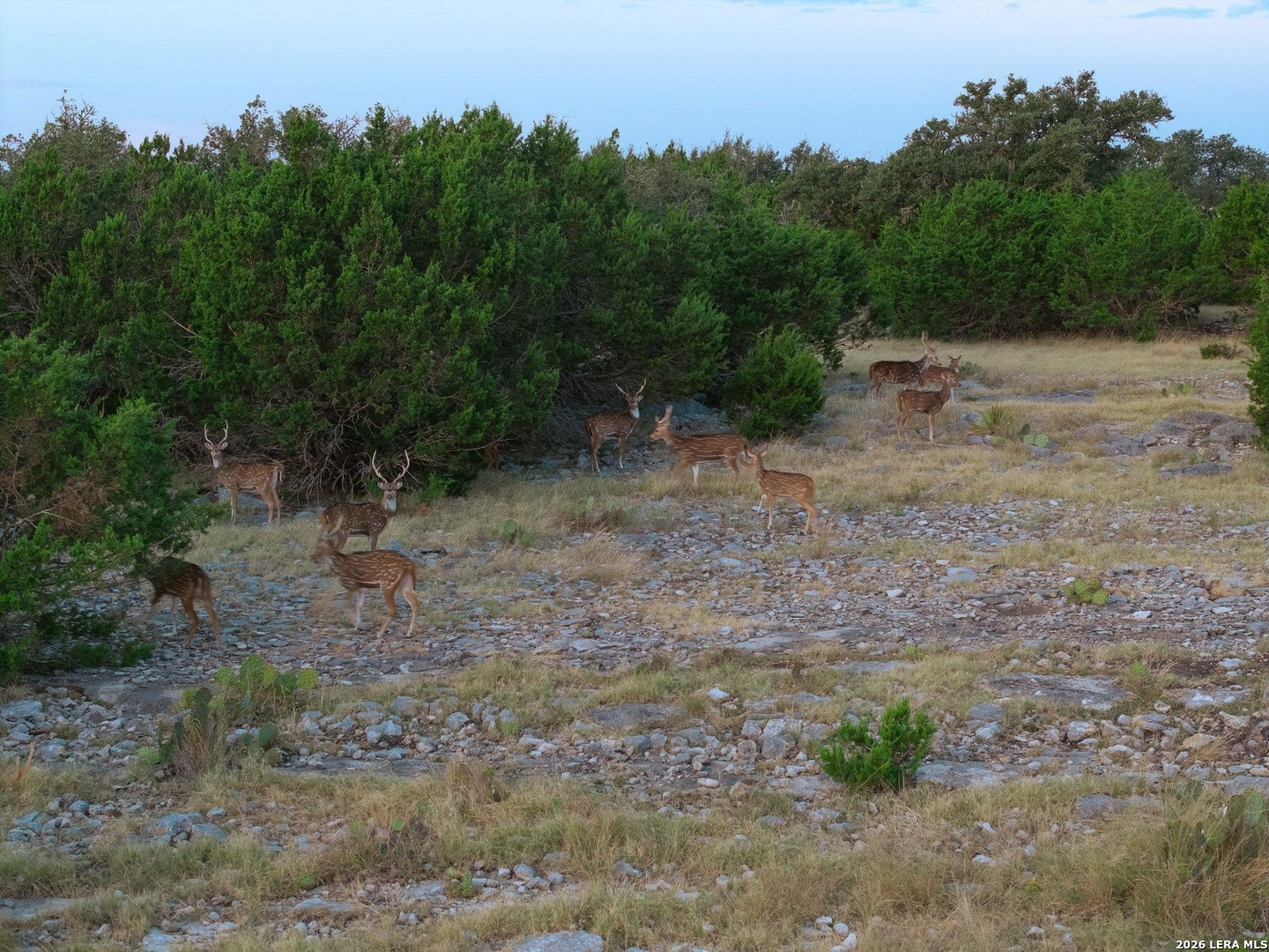 Tbd Highway 41 Rocksprings TX 78880
