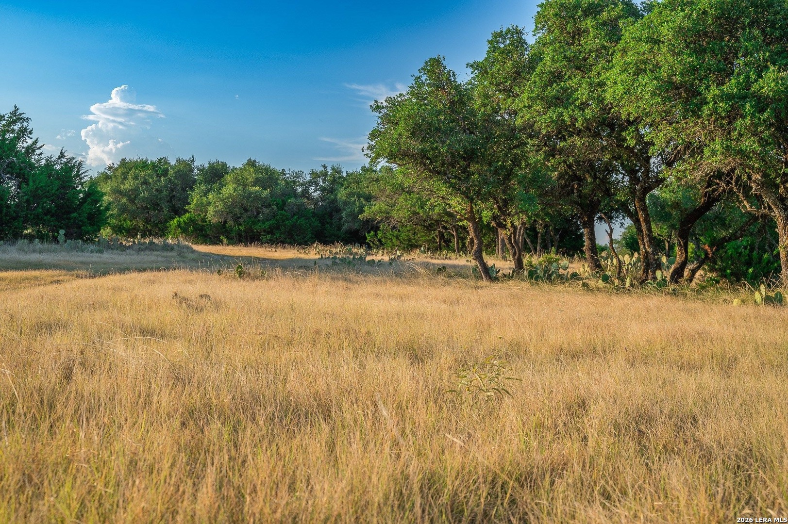 Tbd Highway 41 Rocksprings TX 78880
