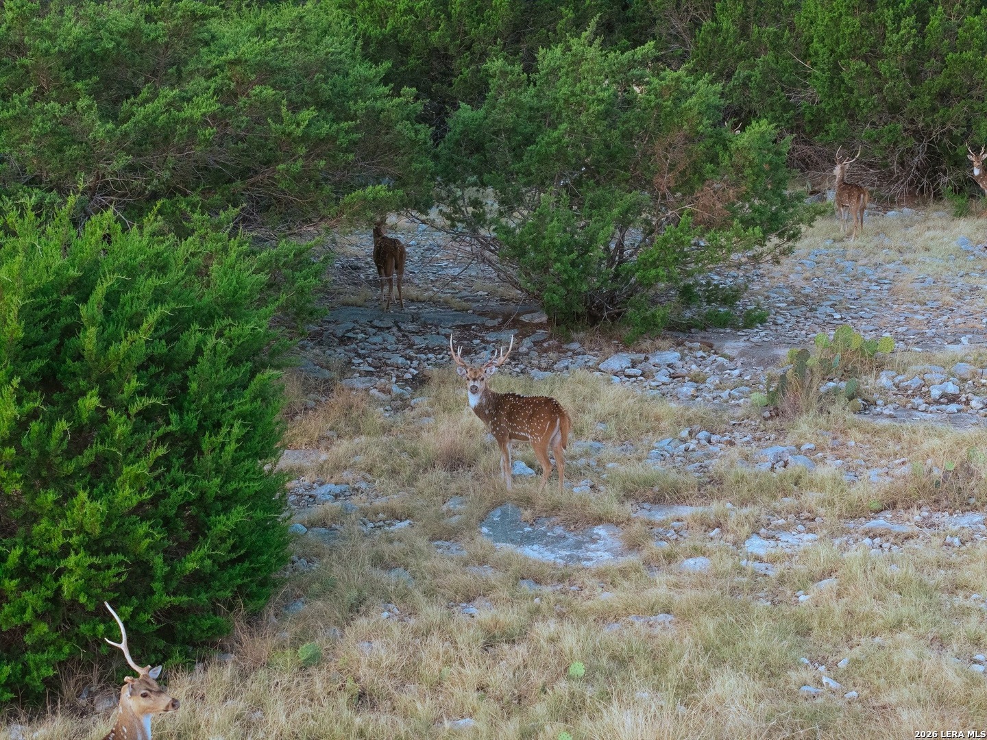 Tbd Highway 41 Rocksprings TX 78880