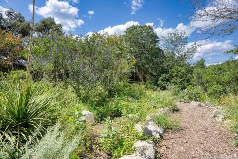 801 Mickle Creek Medina TX 78055