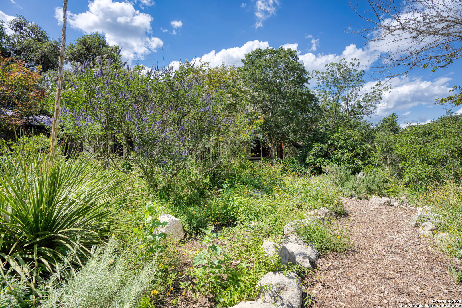 801 Mickle Creek Medina TX 78055