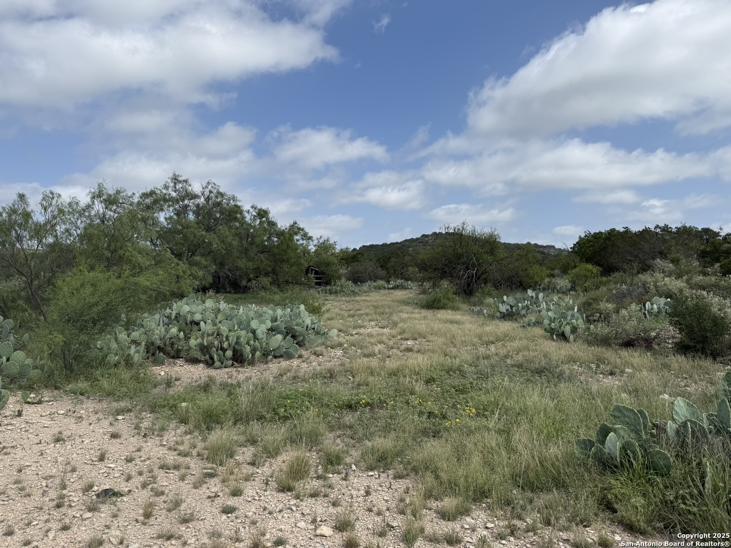 Tbd Murray Ranch Road Rocksprings TX 78881