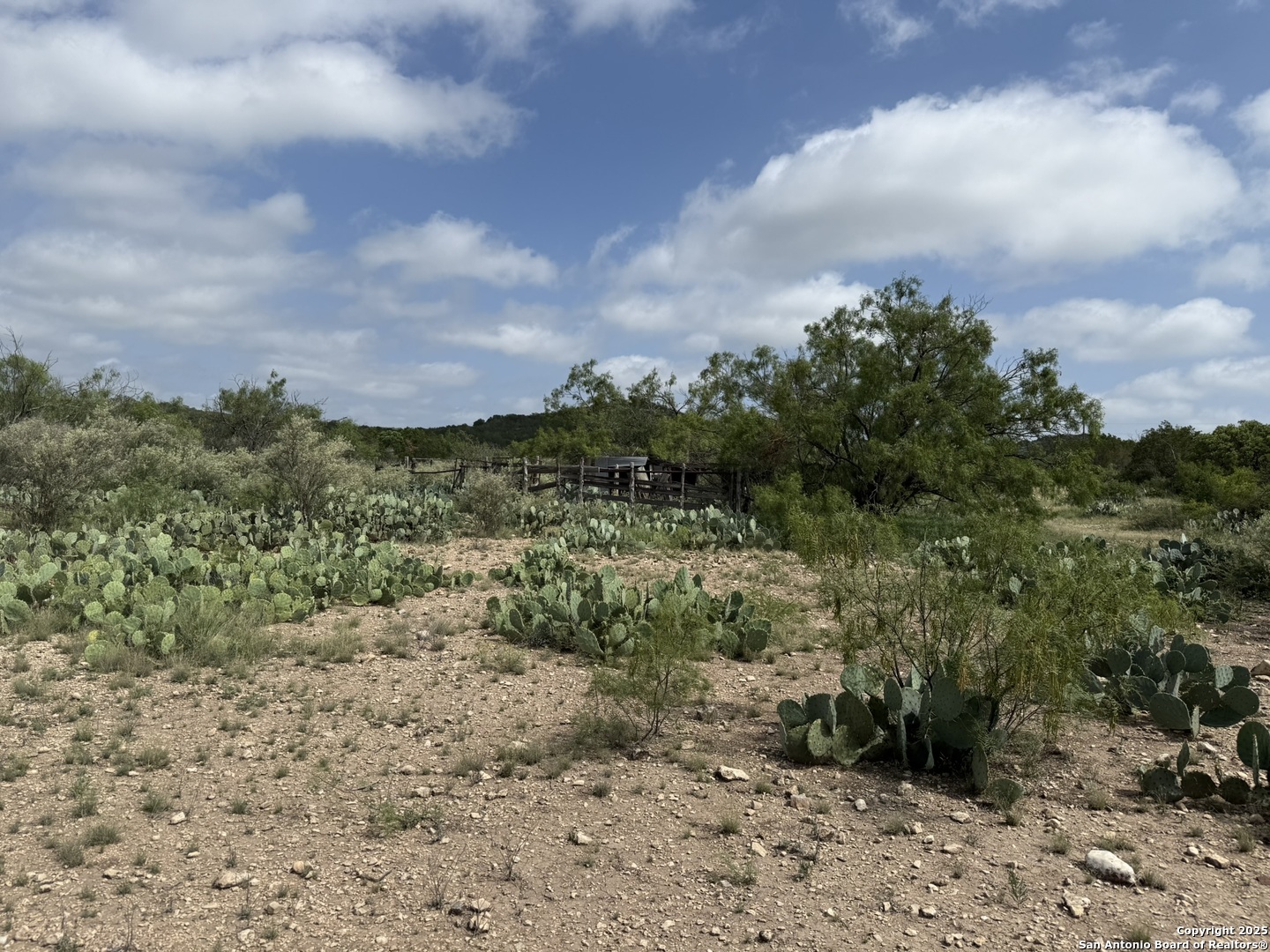 Tbd Murray Ranch Road Rocksprings TX 78881