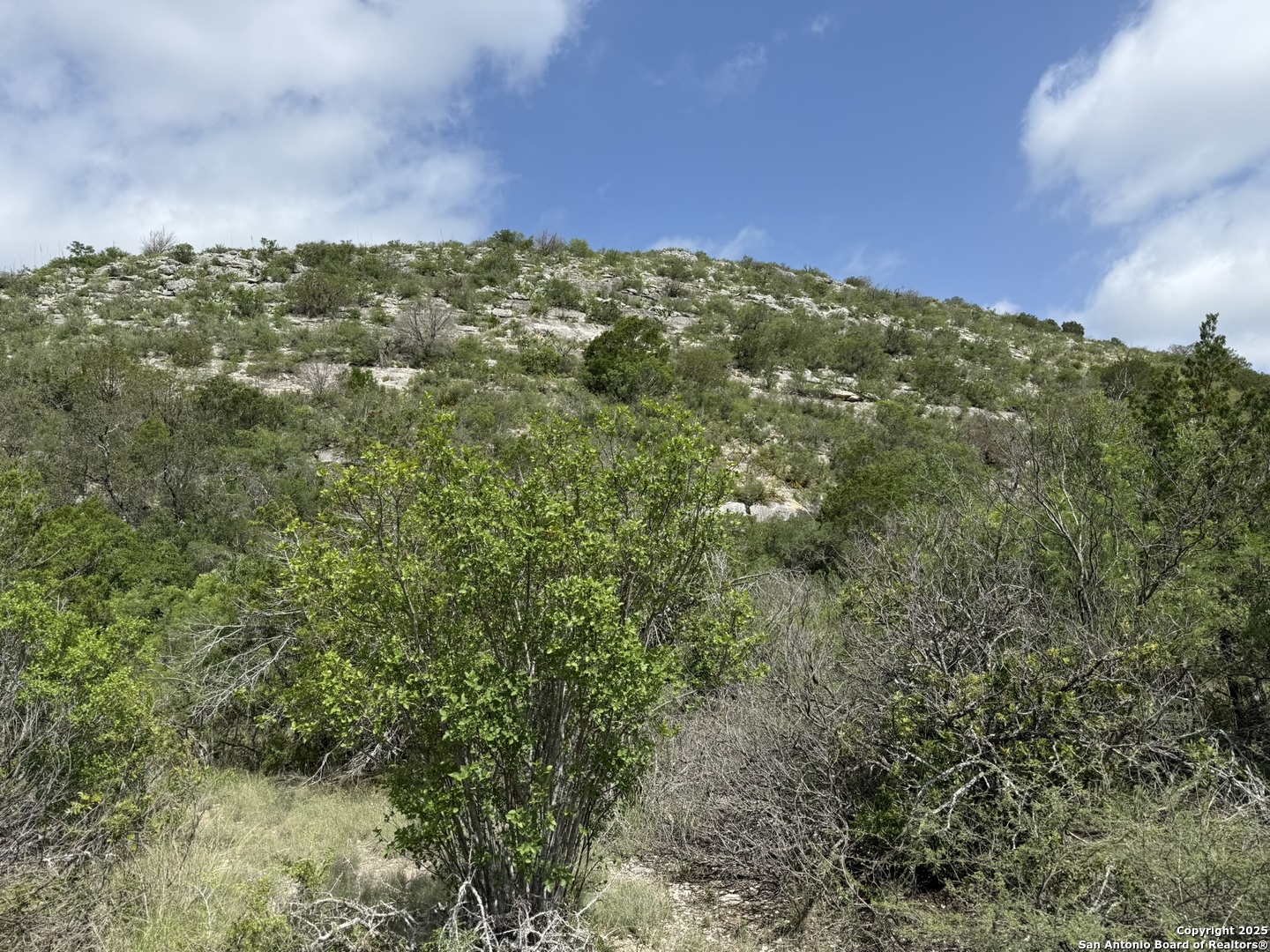 Tbd Murray Ranch Road Rocksprings TX 78881