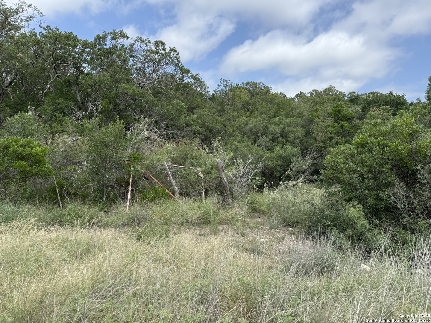 Tbd Murray Ranch Road Rocksprings TX 78881