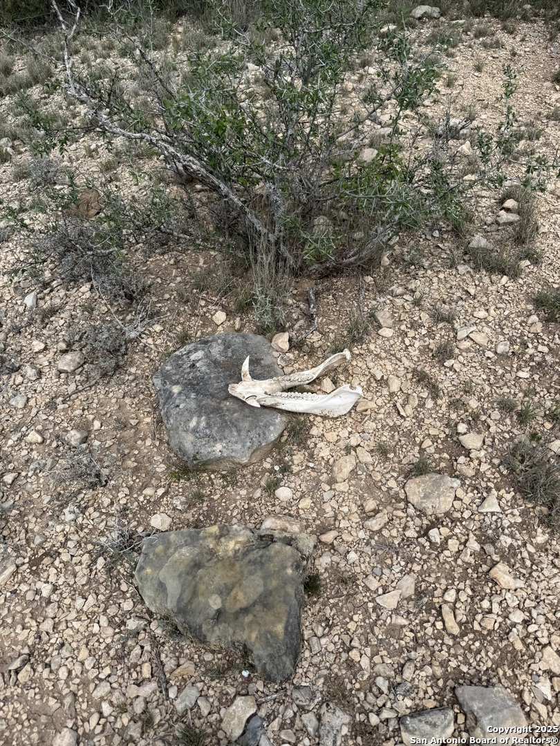 Tbd Murray Ranch Road Rocksprings TX 78881
