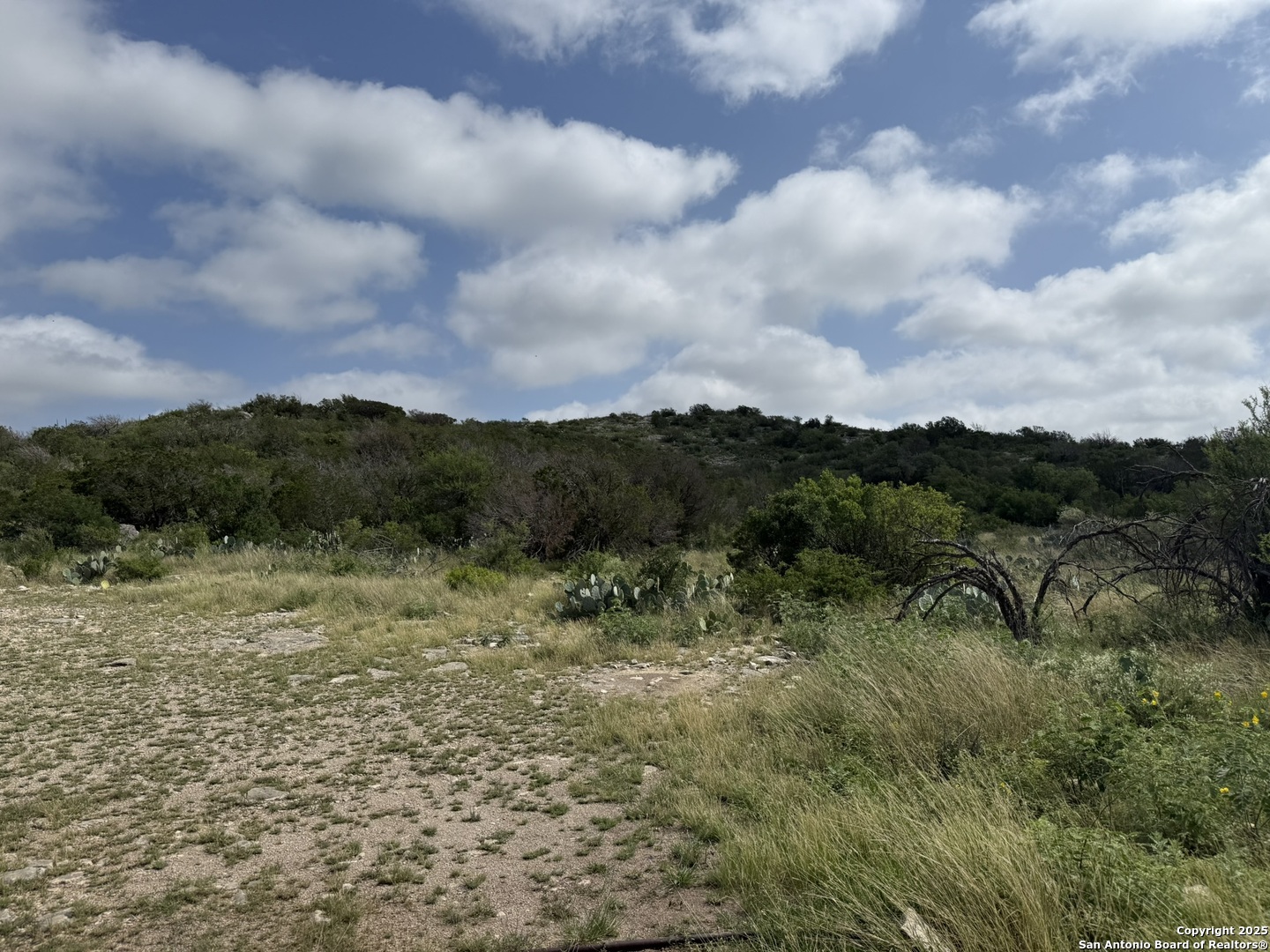 Tbd Murray Ranch Road Rocksprings TX 78881