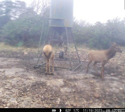 104 Sd 14070 Rocksprings TX 78880