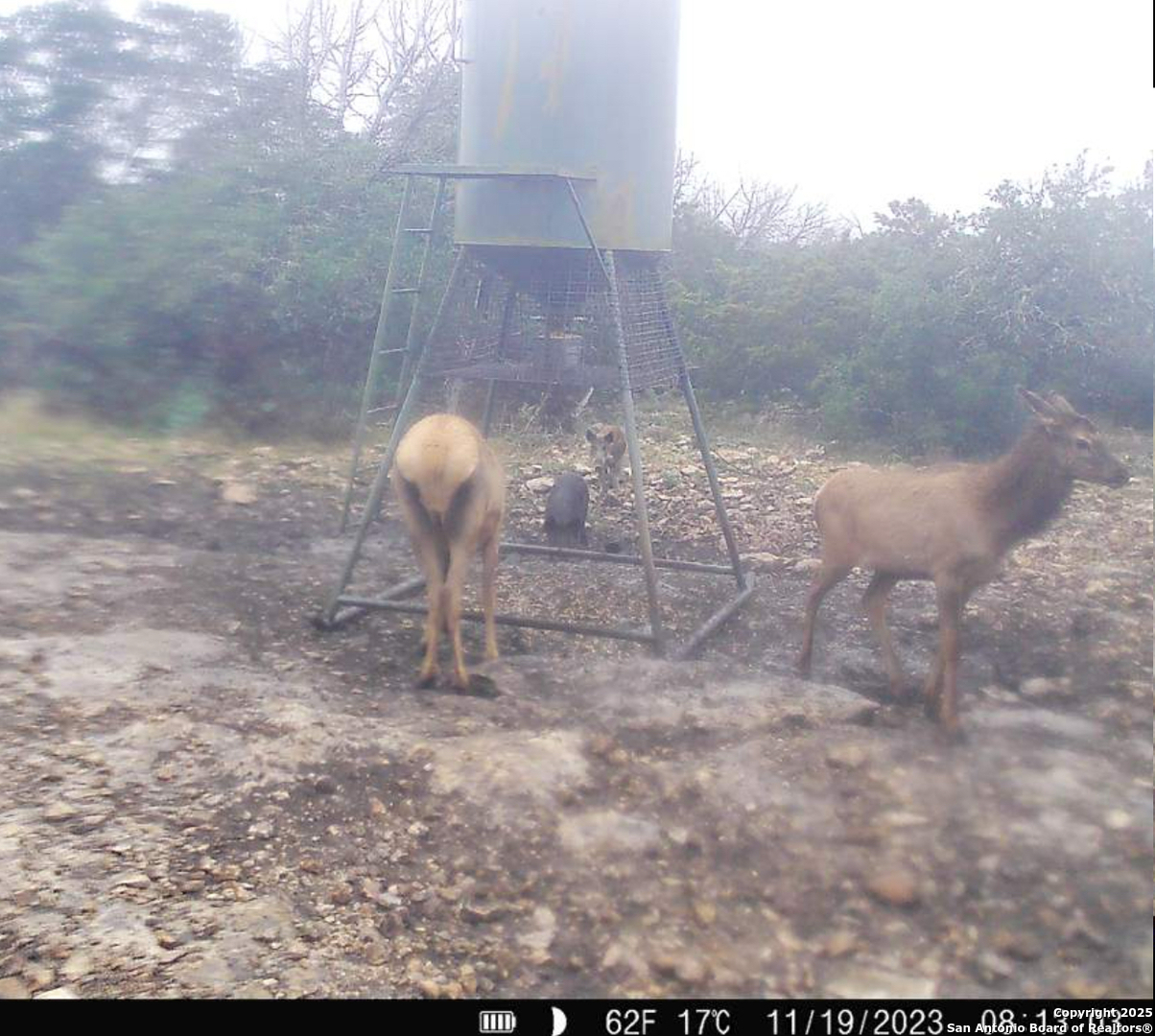 104 Sd 14070 Rocksprings TX 78880