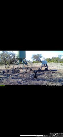 104 Sd 14070 Rocksprings TX 78880