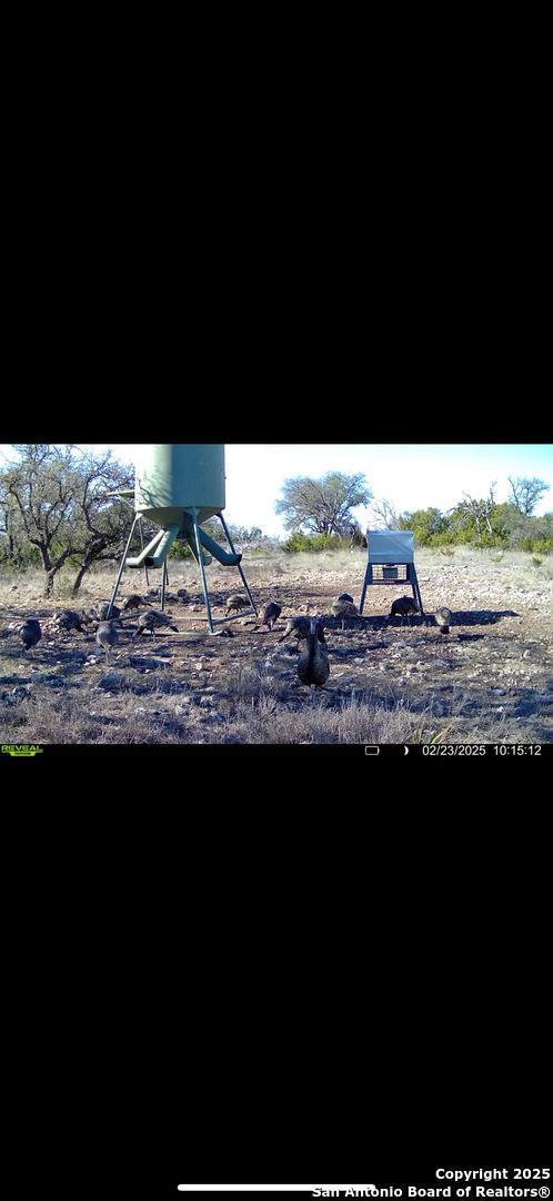 104 Sd 14070 Rocksprings TX 78880