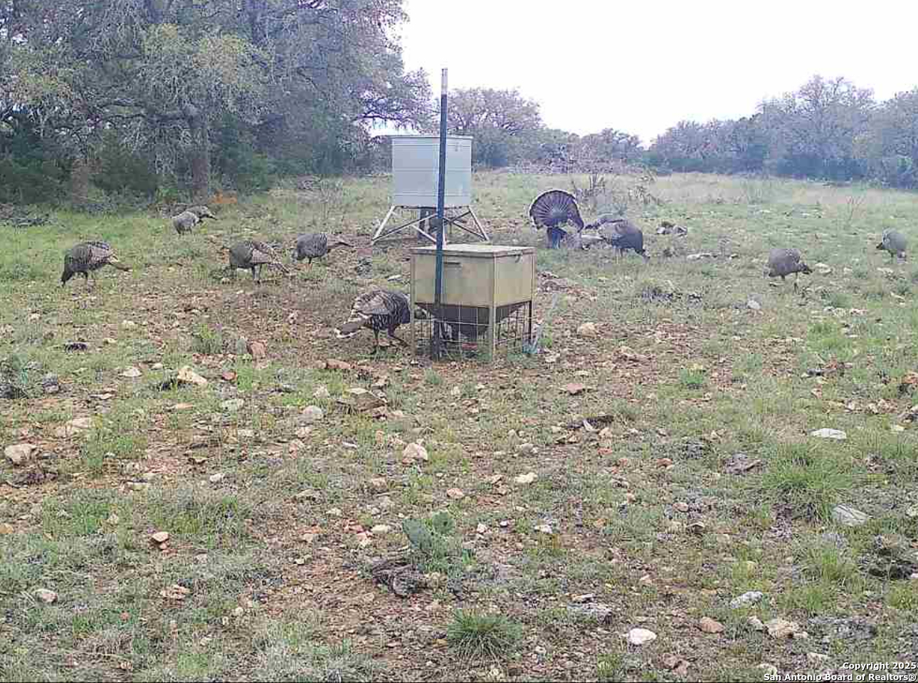 104 Sd 14070 Rocksprings TX 78880