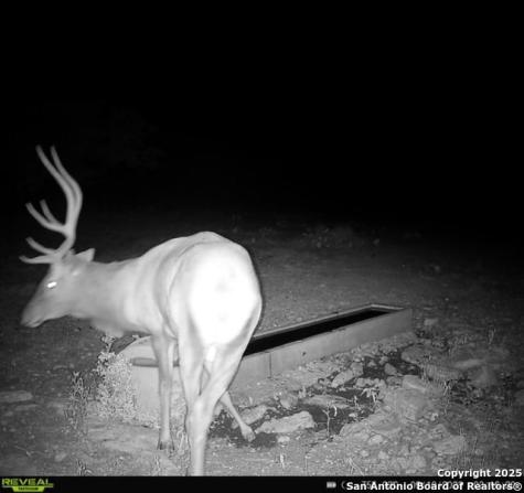 104 Sd 14070 Rocksprings TX 78880