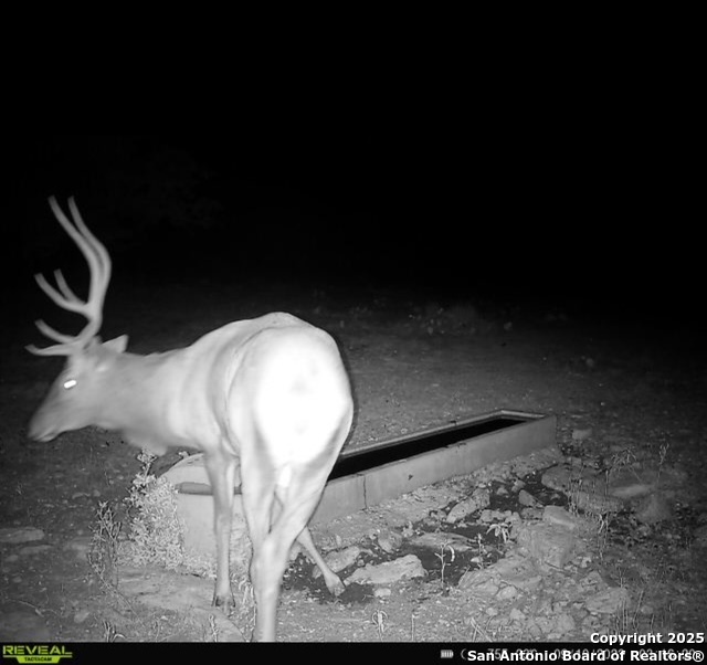 104 Sd 14070 Rocksprings TX 78880