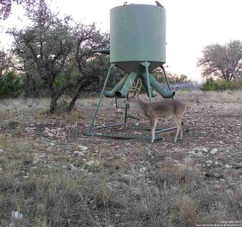 104 Sd 14070 Rocksprings TX 78880