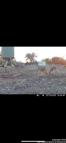 104 Sd 14070 Rocksprings TX 78880